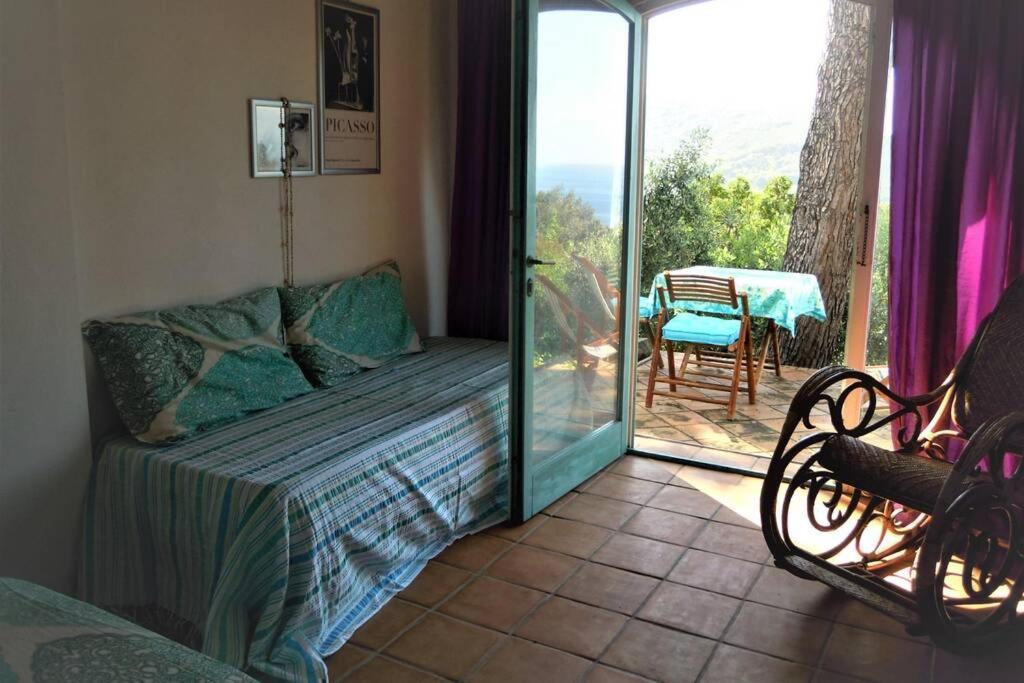 Mini Suite Ulivo Marciana Marina  Esterno foto